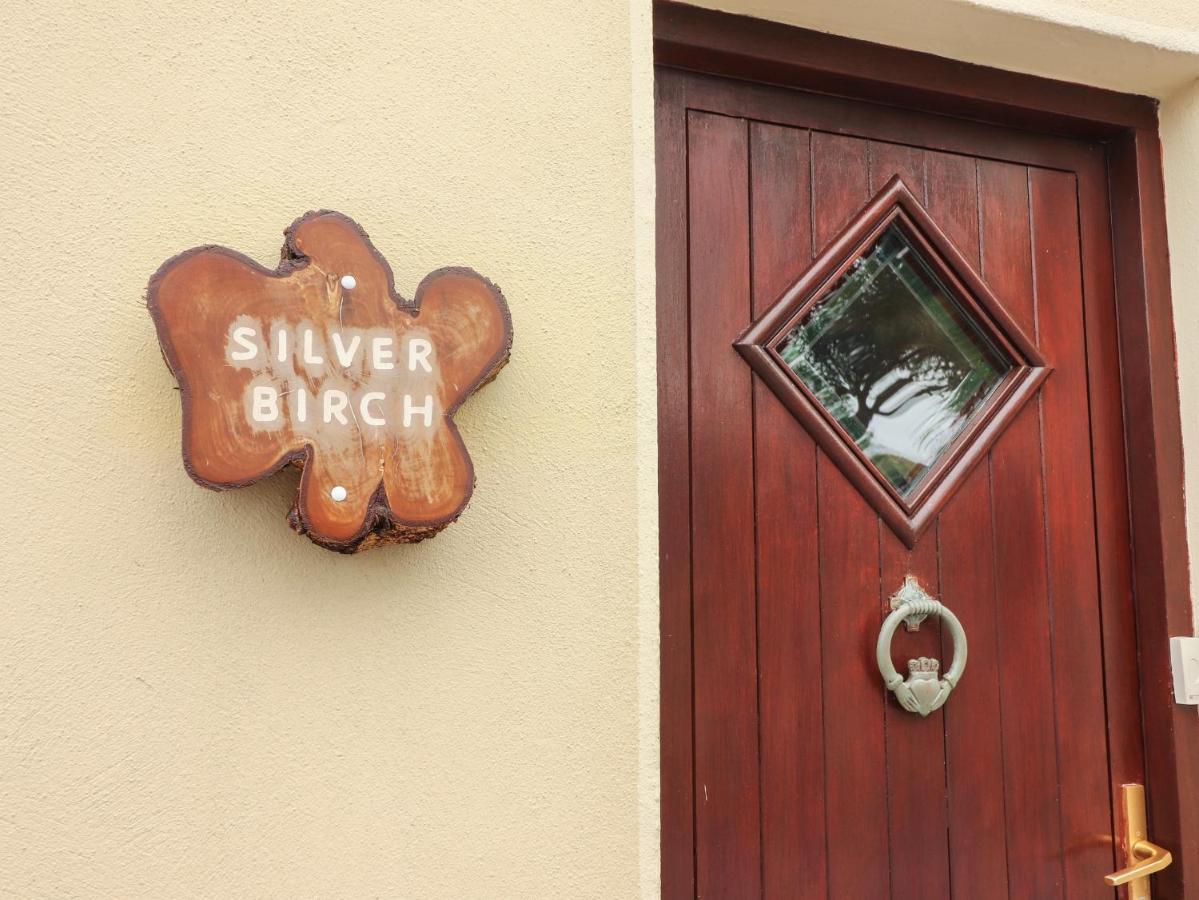 Silver Birch Cuar an Chláir エクステリア 写真
